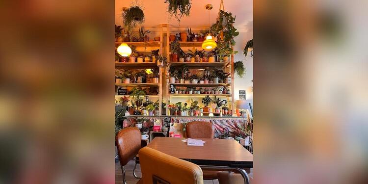 MimiMosa, bar