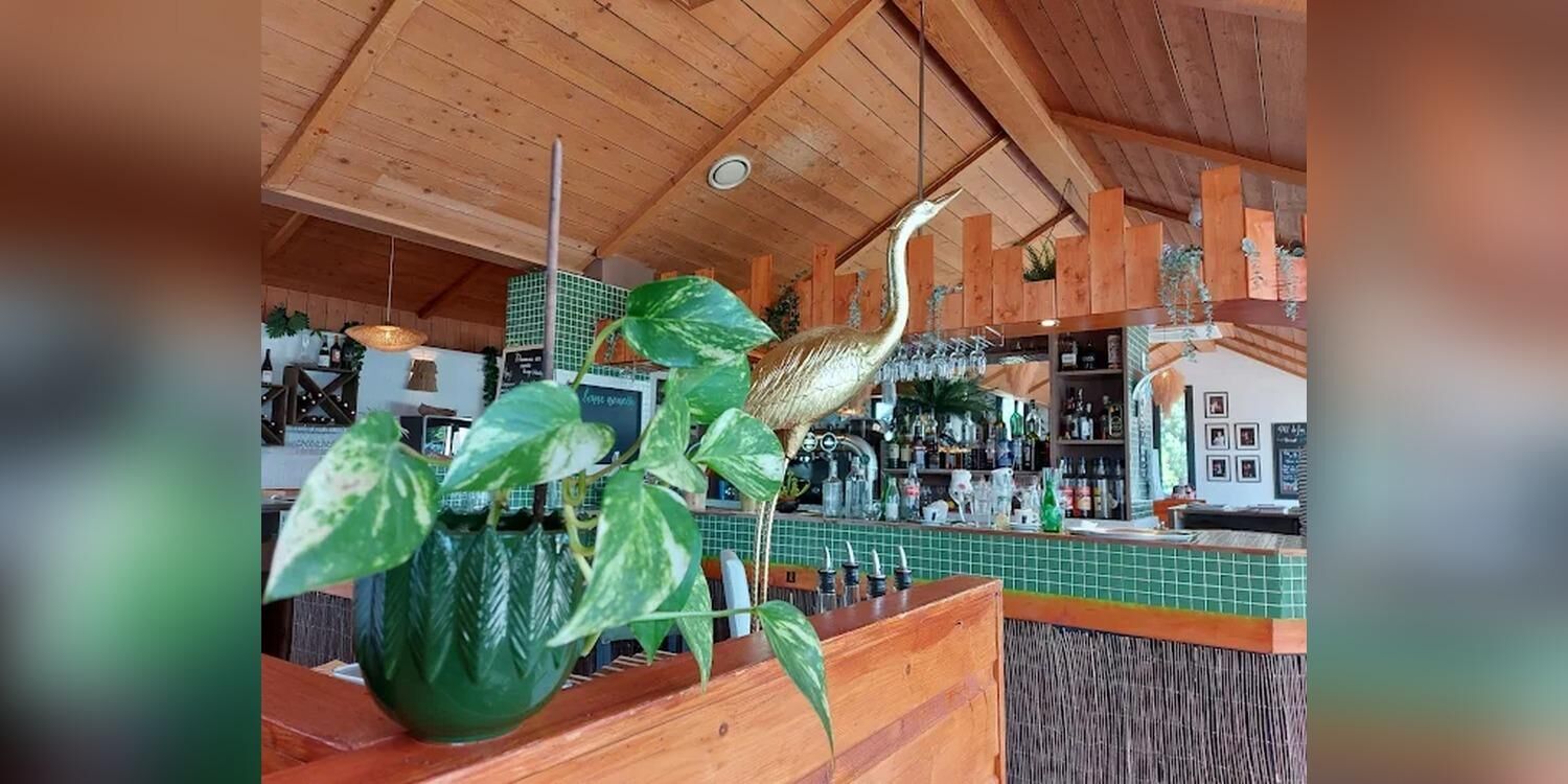 Koko, bar