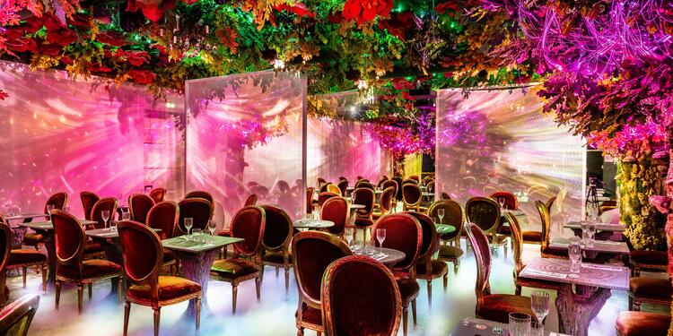 Wonderwoods by Ephemera - Angers - Privatisation, rental_room