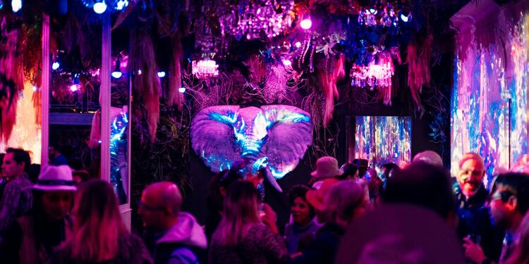 Jungle Palace by Ephemera - Privatisation, rental_room