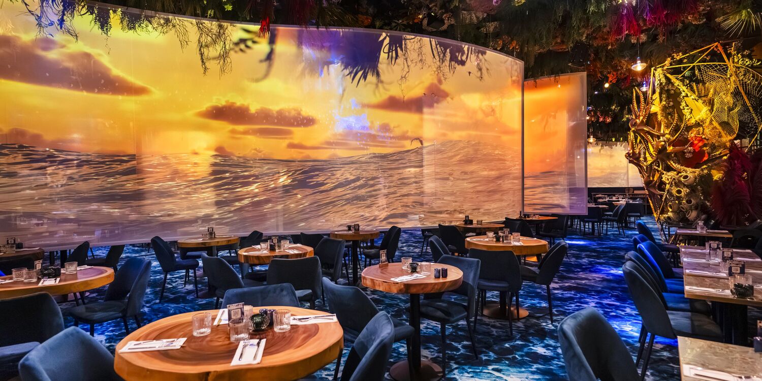 Under the sea by Ephemera - Montpellier - Privatisation, rental_room