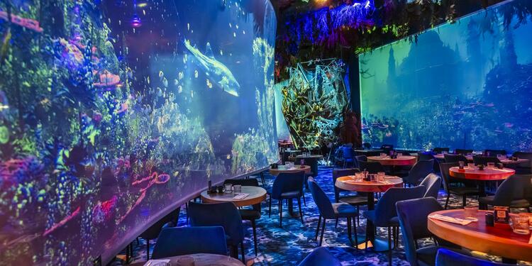 Under the sea by Ephemera - Montpellier - Privatisation, rental_room