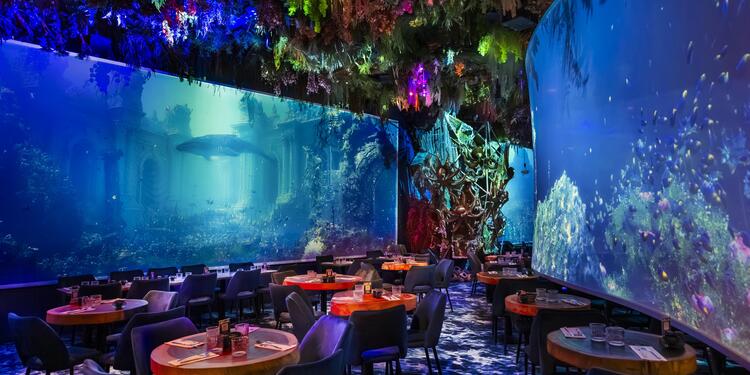 Under the sea by Ephemera - Montpellier - Privatisation, rental_room