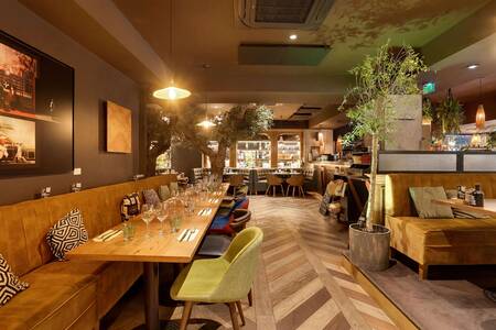 Joe Carpa, Restaurant Angers Centre-Ville #0