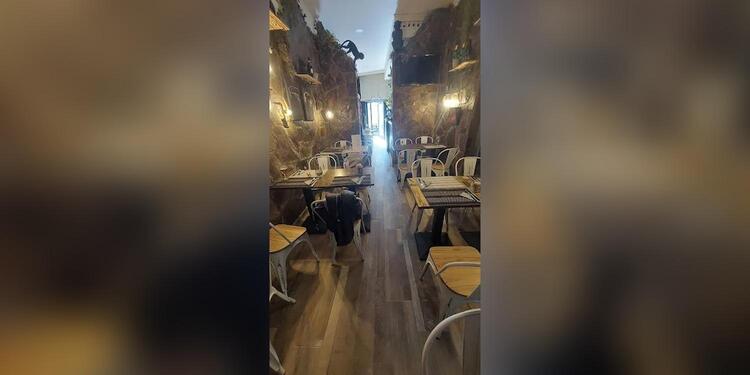Italian monkey bar, restaurant