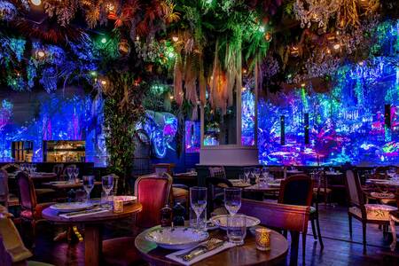 Jungle Palace by Ephemera, Bar Paris Strasbourg-Saint-Denis #0