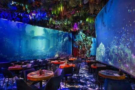 Under the sea by Ephemera - Montpellier, Bar Montpellier  Odysseum #0