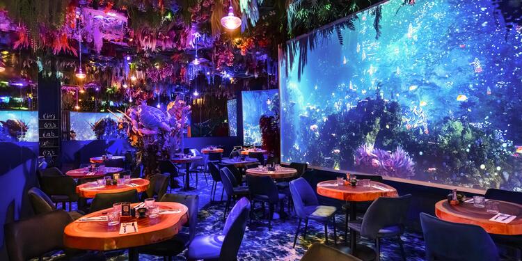 Under the sea by Ephemera - Montpellier, bar