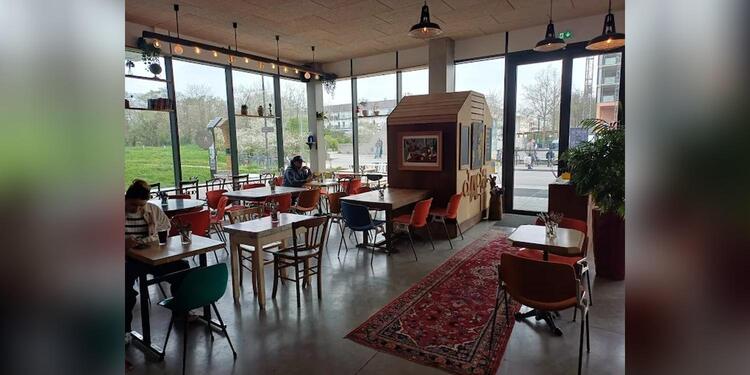 Dada Café Restaurant, restaurant