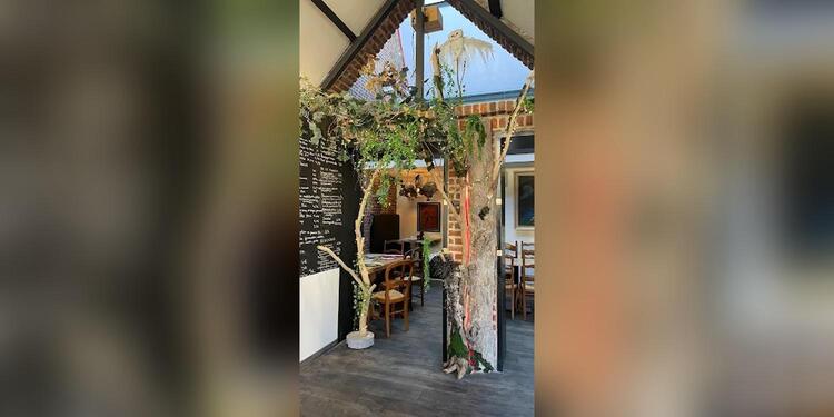 Arcania - Taverne Ludique, bar