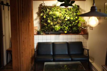 Les Badauds, Bar Versailles Notre Dame #0