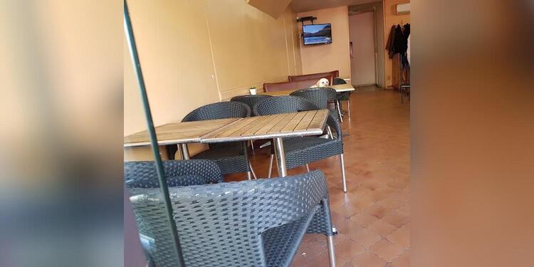 Le Rallye, bar