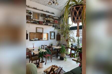 L’Antre Coffeeshop, Bar Pau Centre-ville de Pau #0