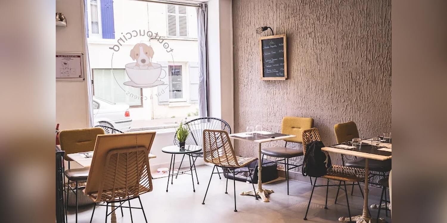 Toutouccino, restaurant
