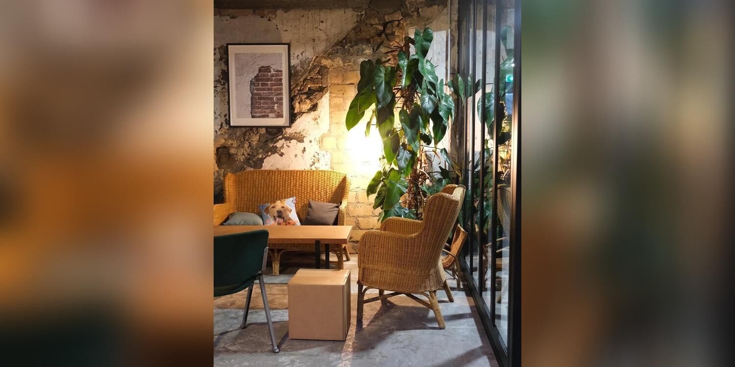 Le Bakara, bar