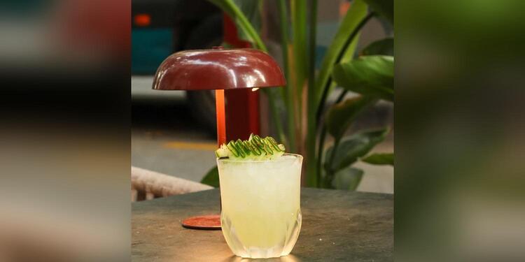 Pinot Gastro Bar, bar