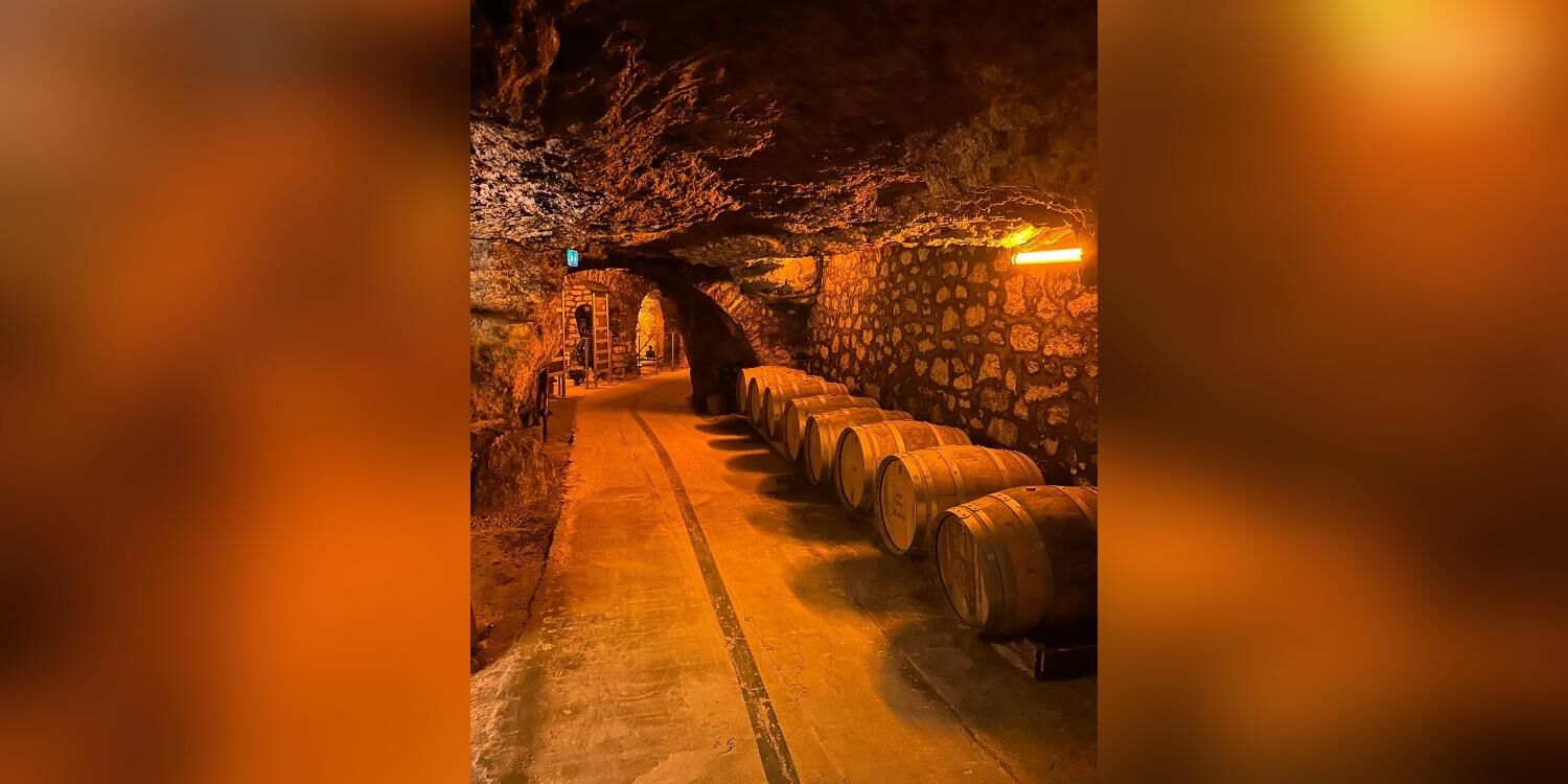CAVAVIN - BRY SUR MARNE, bar