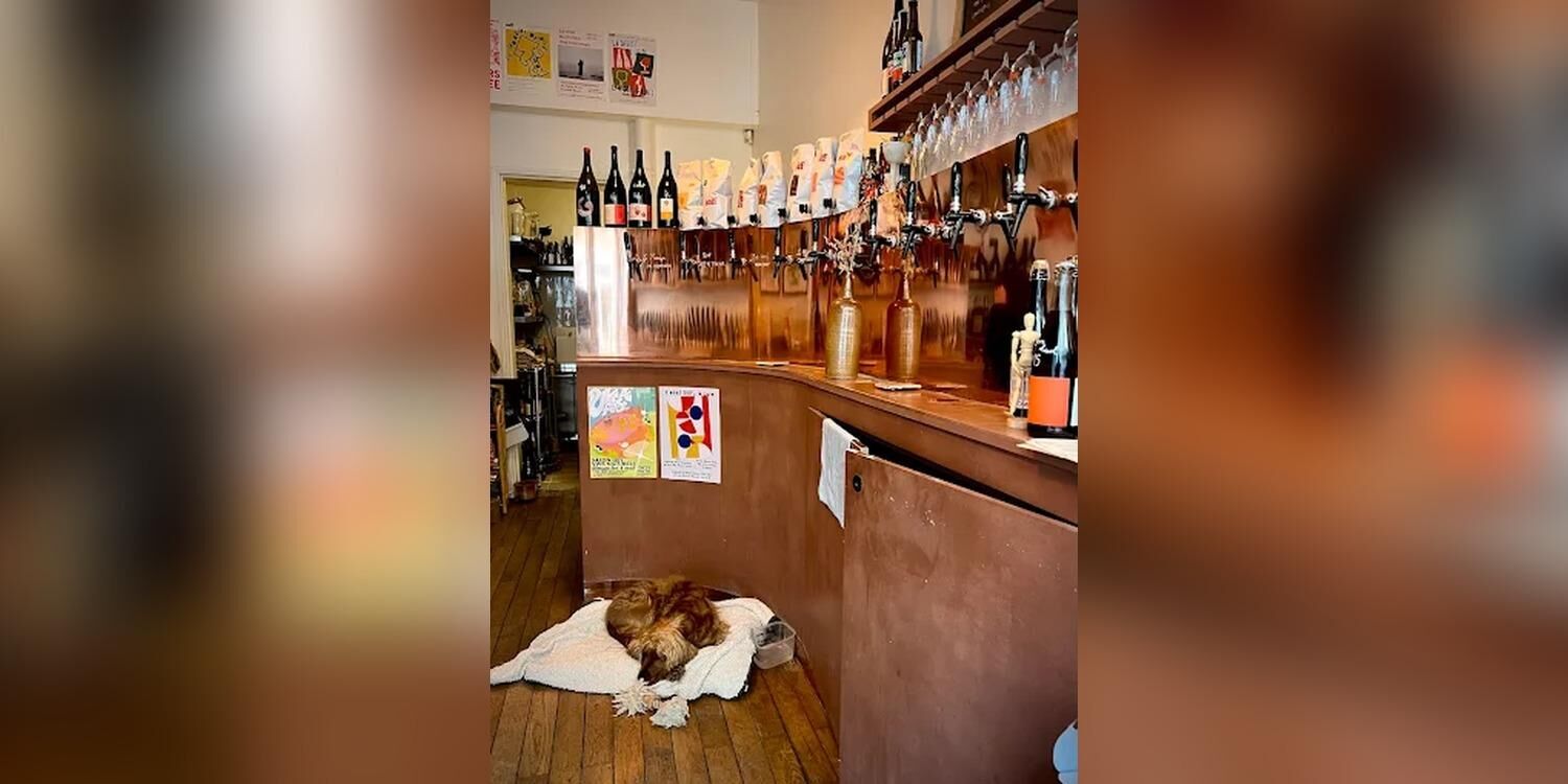 Soif, la Cave à Pigalle, bar