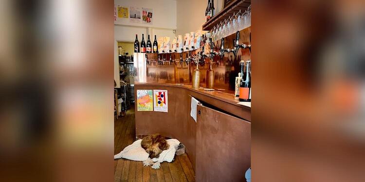 Soif, la Cave à Pigalle, bar