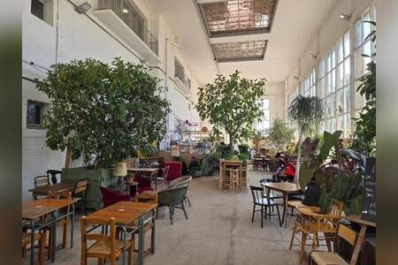 L'Orangerie, Bar Lille Moulins #0